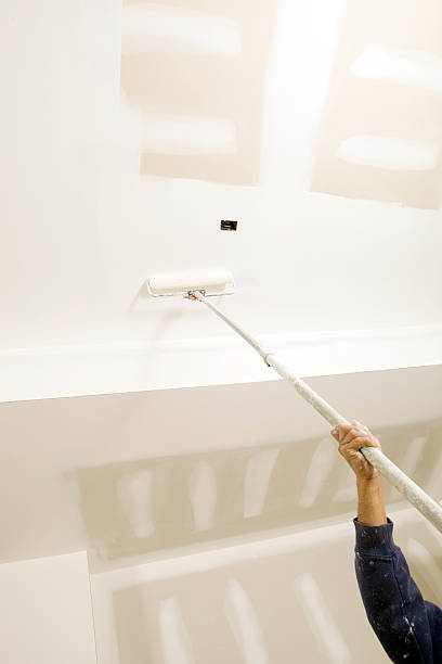 Best Mold Removal for HVAC Installations  in Delta, CO