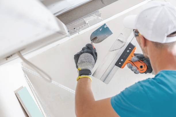 Best Crawl Space Mold Remediation  in Delta, CO